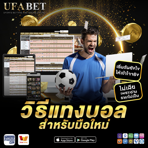 วิธีแทงบอล สำหรับมือใหม่