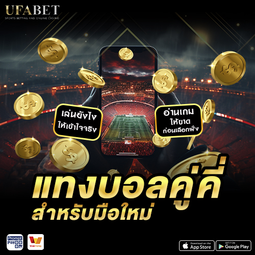 แทงบอลคู่คี่ สำหรับมือใหม่