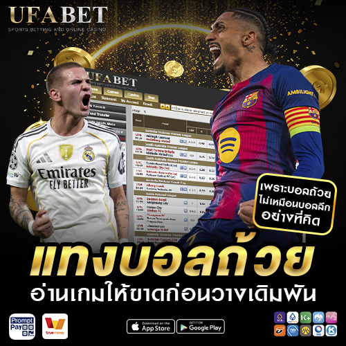 แทงบอลถ้วย อ่านเกมให้ขาด