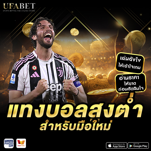 แทงบอลสูงต่ำ สำหรับมือใหม่